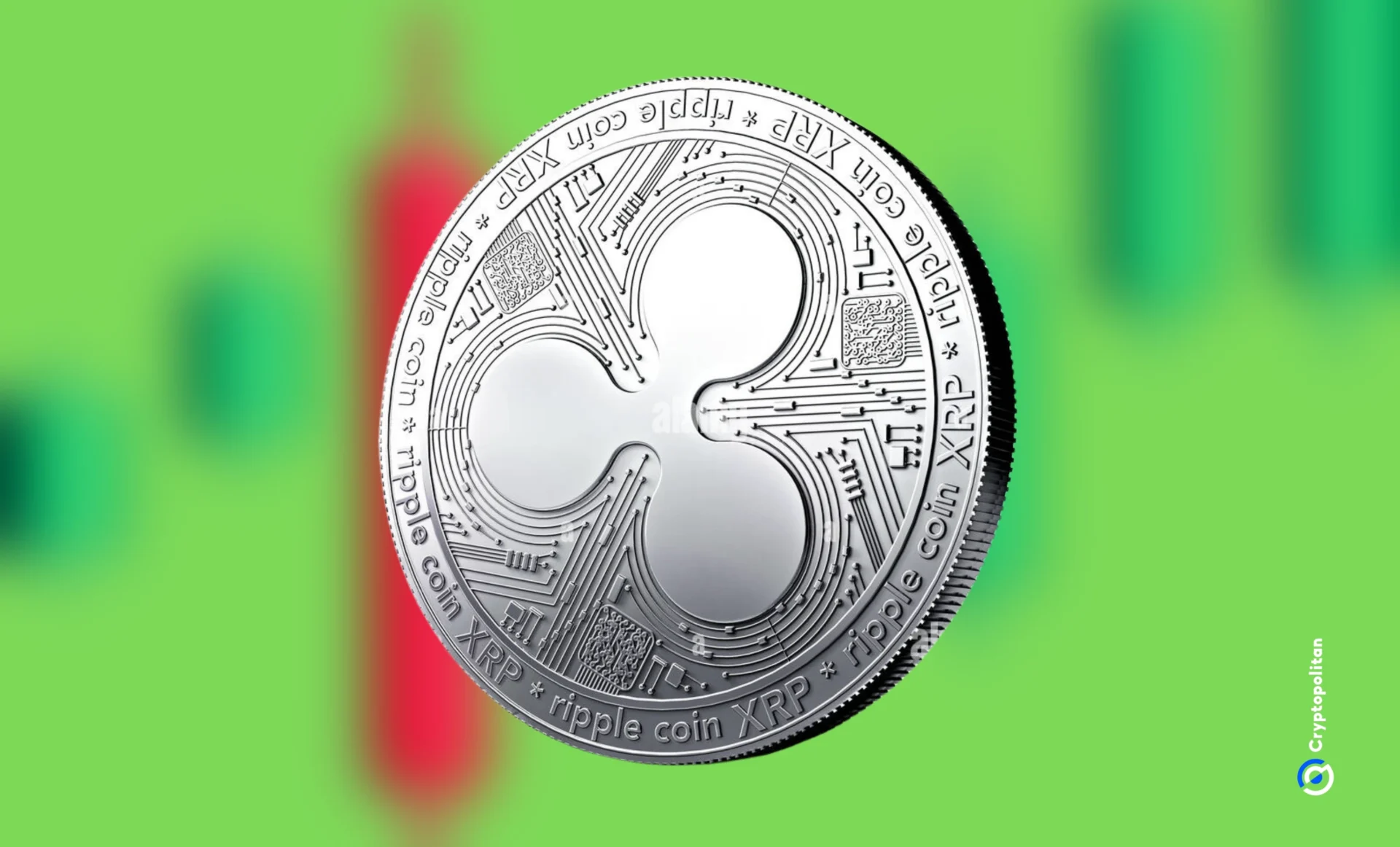 XRP returns into the hands of whales while price remains stagnant