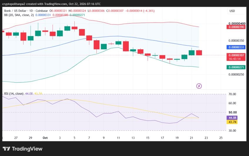BONK/USD 1-day price chart.