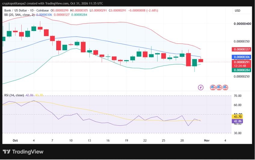 BONK/USD 1-day price chart.