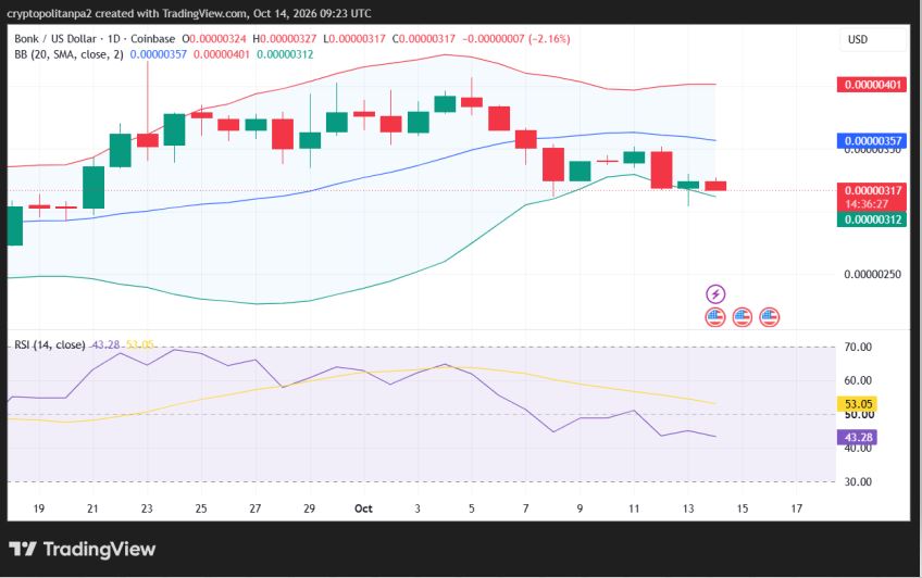 BONK/USD 1-day price chart.