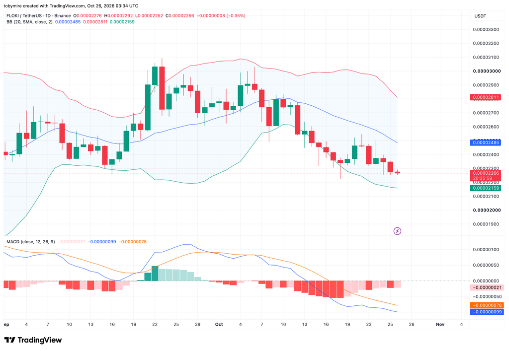 FLOKIUSDT 1-يوم رسم بياني للسعر بواسطة TradingView