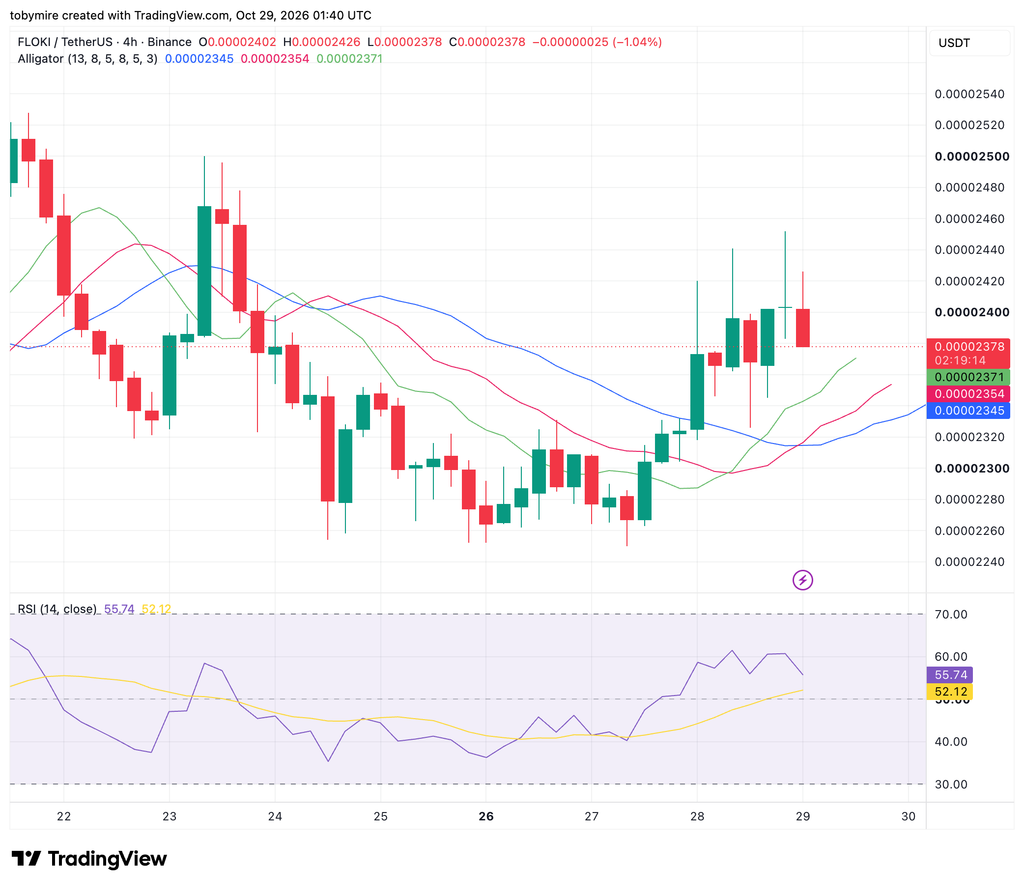 FLOKIUSDT 4-hour price chart by TradingView