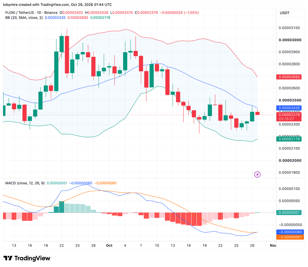 FLOKIUSDT 1-day price chart by TradingView