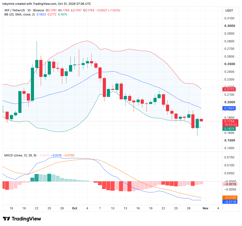WIFUSDT 1-day chart by Tradingview