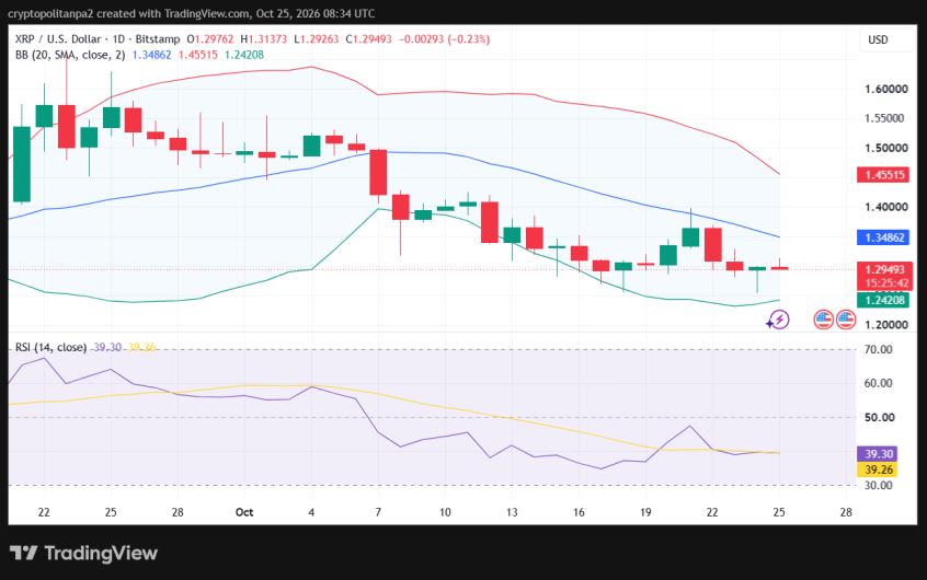 XRP/USD 1일 가격 차트.